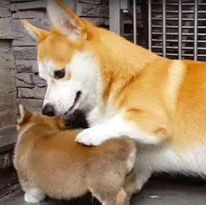 Meet your Posher, Mariah